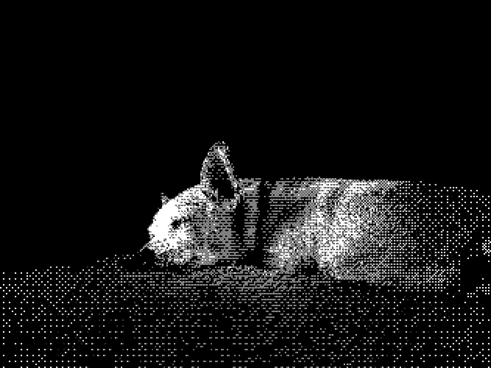 vic durmiendo
